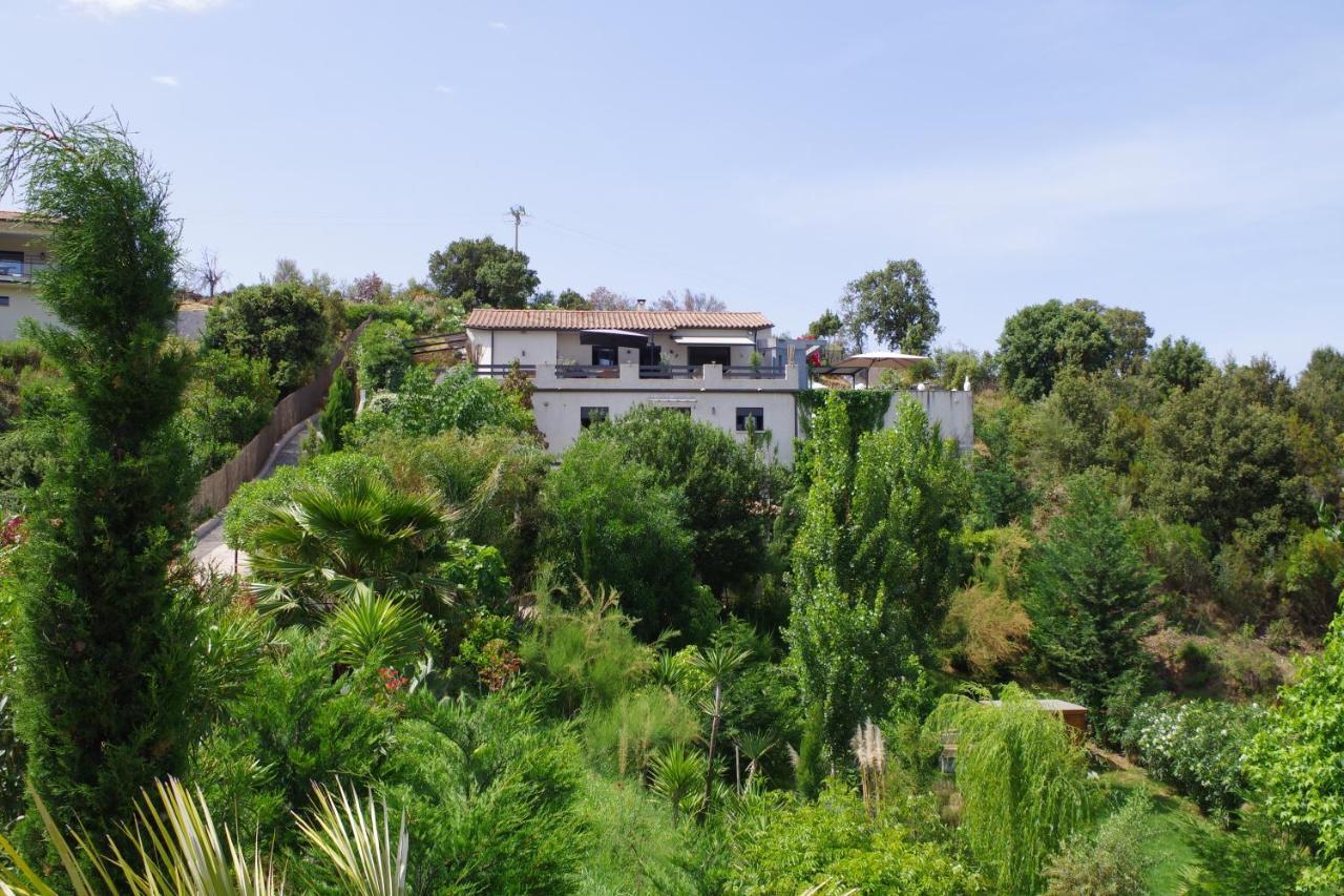 Apartamento Bomorto - Porticcio Porticcio  Exterior foto